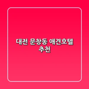 대전 문창동 애견호텔 추천