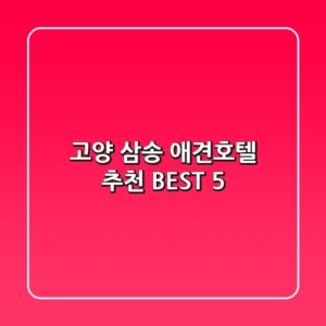 고양 삼송 애견호텔 추천 BEST 5