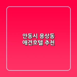 안동시 용상동 애견호텔 추천