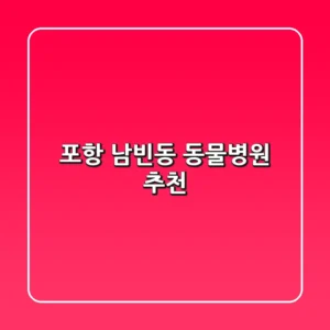 포항 남빈동 동물병원 추천