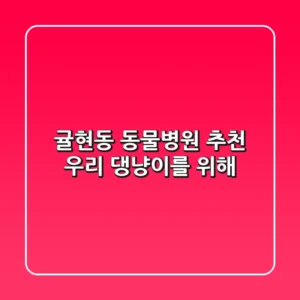 귤현동 동물병원 추천! 우리 댕냥이를 위해