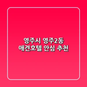 영주시 영주2동 애견호텔 안심 추천