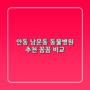 안동 남문동 동물병원 추천 : 꼼꼼 비교