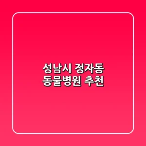 성남시 정자동 동물병원 추천