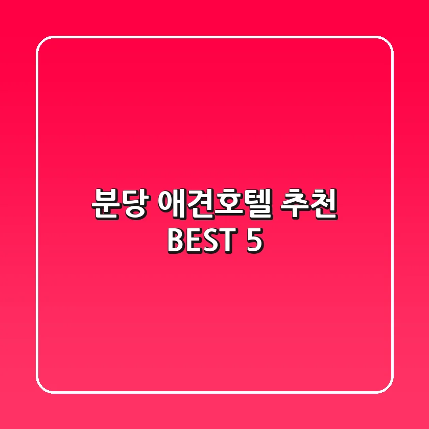 분당 애견호텔 추천 BEST 5