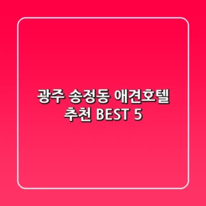 광주 송정동 애견호텔 추천 BEST 5
