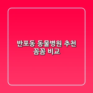 반포동 동물병원 추천 : 꼼꼼 비교