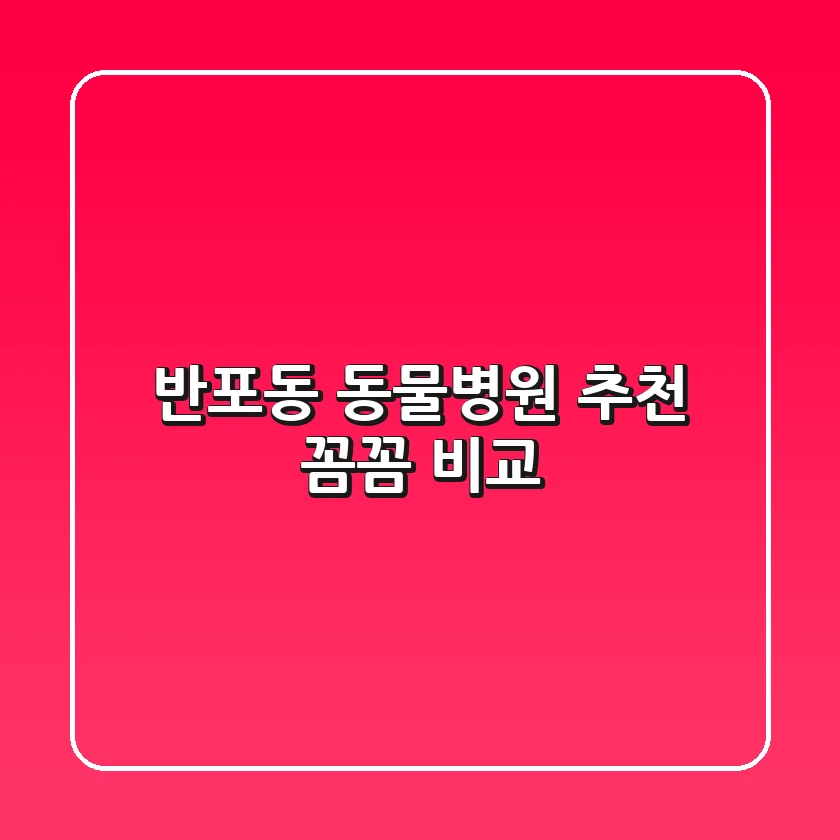 반포동 동물병원 추천 : 꼼꼼 비교