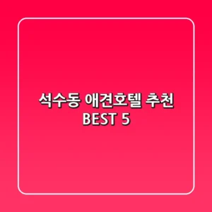 석수동 애견호텔 추천 BEST 5