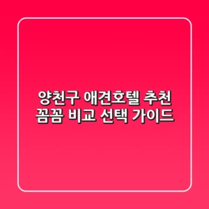 양천구 애견호텔 추천: 꼼꼼 비교 & 선택 가이드