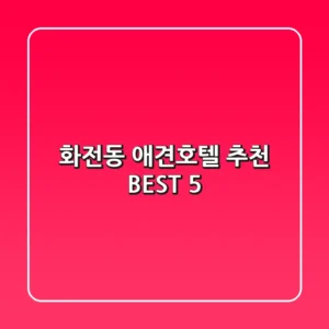 화전동 애견호텔 추천 BEST 5