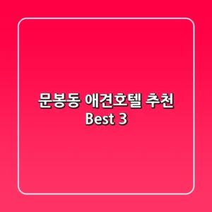 문봉동 애견호텔 추천 Best 3