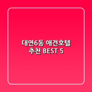 대연6동 애견호텔 추천 BEST 5