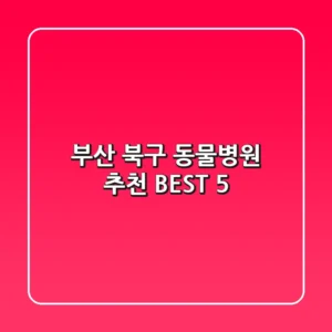 부산 북구 동물병원 추천 BEST 5