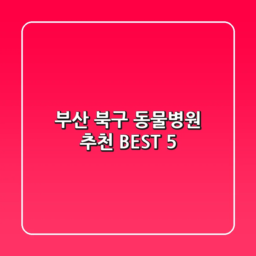 부산 북구 동물병원 추천 BEST 5