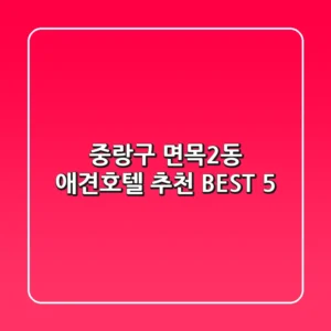중랑구 면목2동 애견호텔 추천 BEST 5