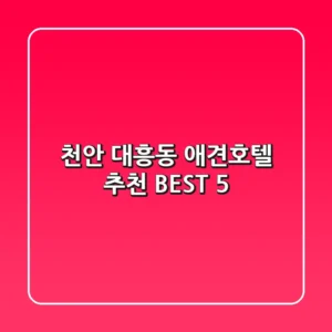 천안 대흥동 애견호텔 추천 BEST 5
