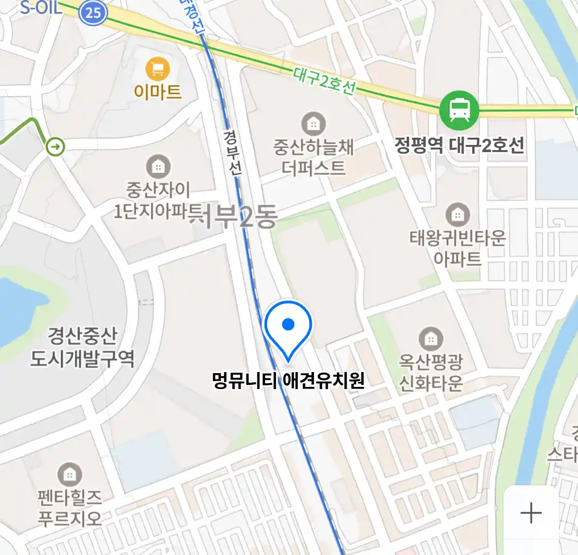 멍뮤니티 애견유치원