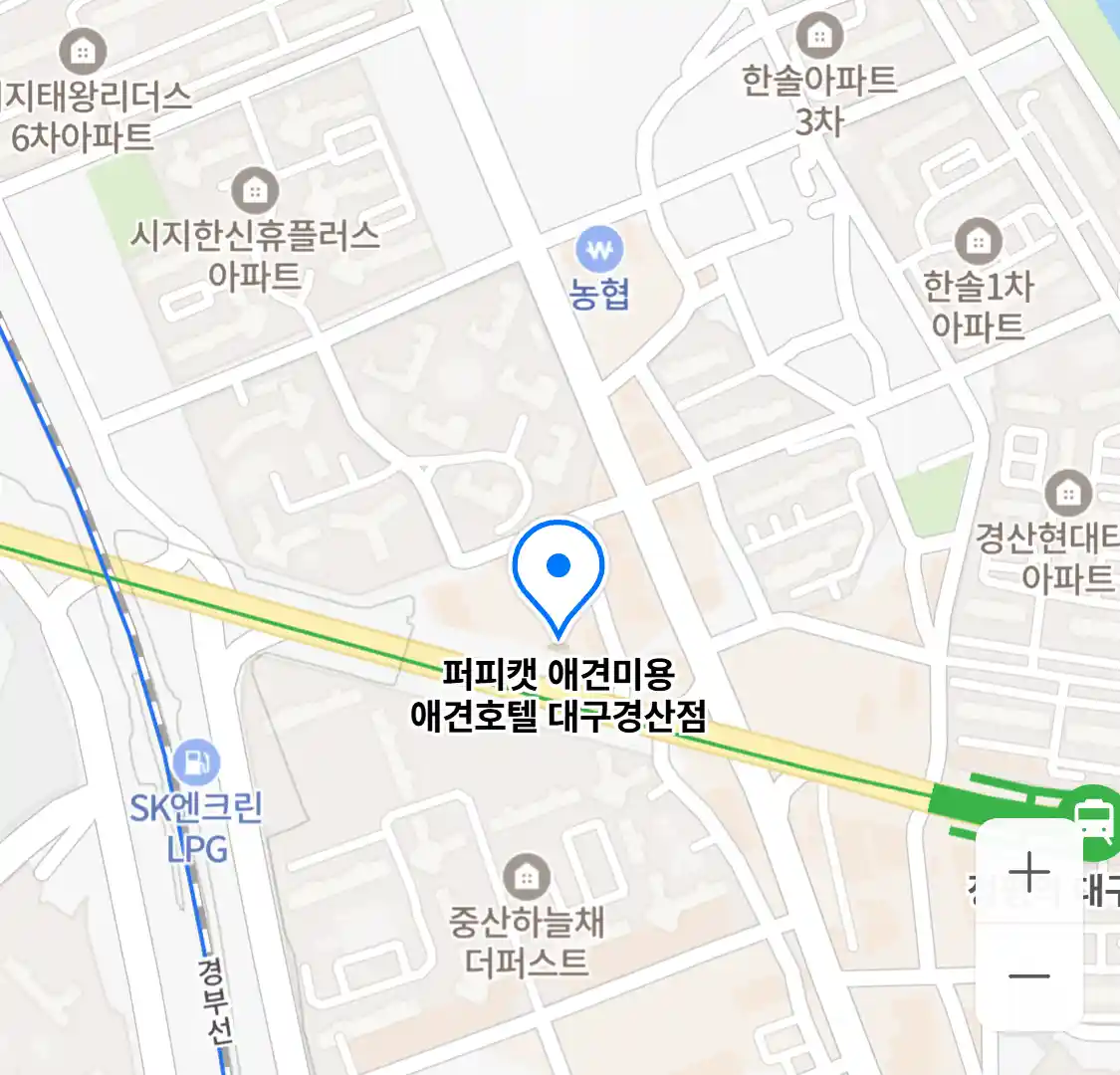 퍼피캣 애견미용 애견호텔 대구경산점