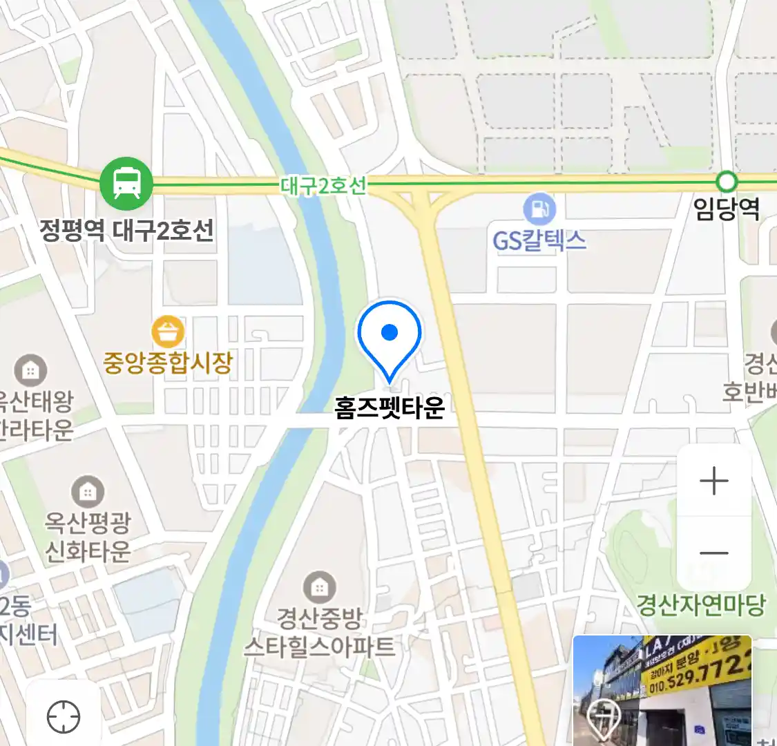 홈즈펫타운