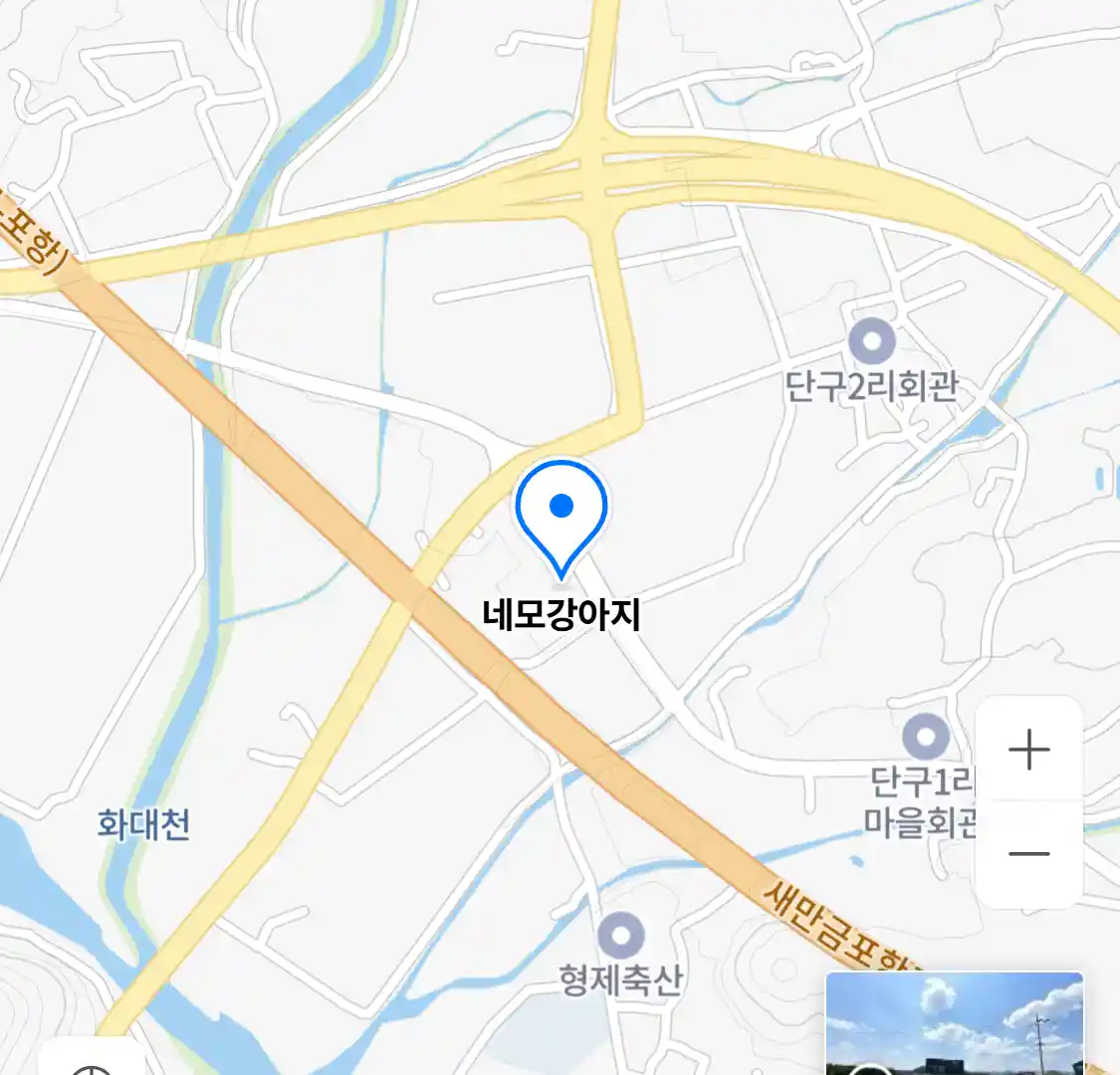 네모강아지