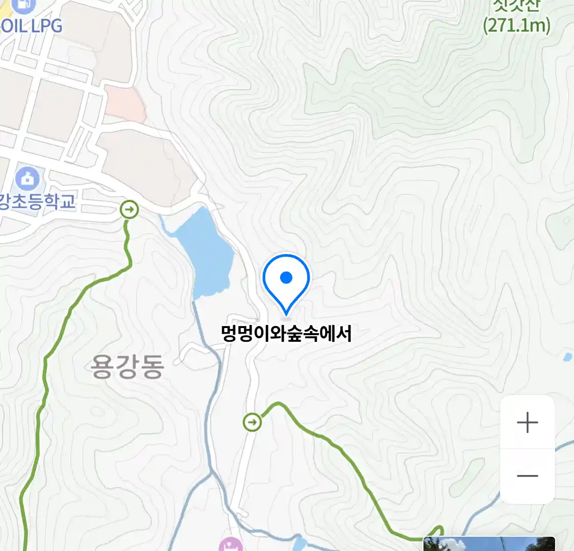 멍멍이와숲속에서