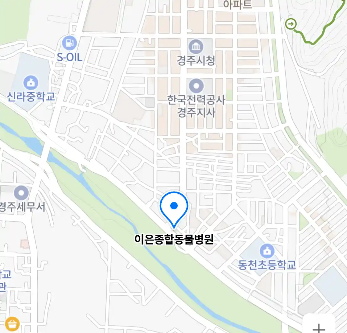이은종합동물병원