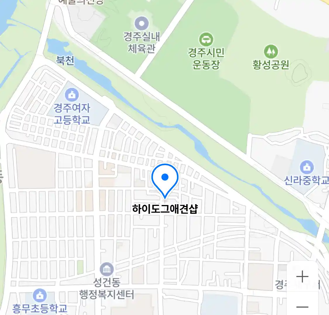 하이도그애견샵