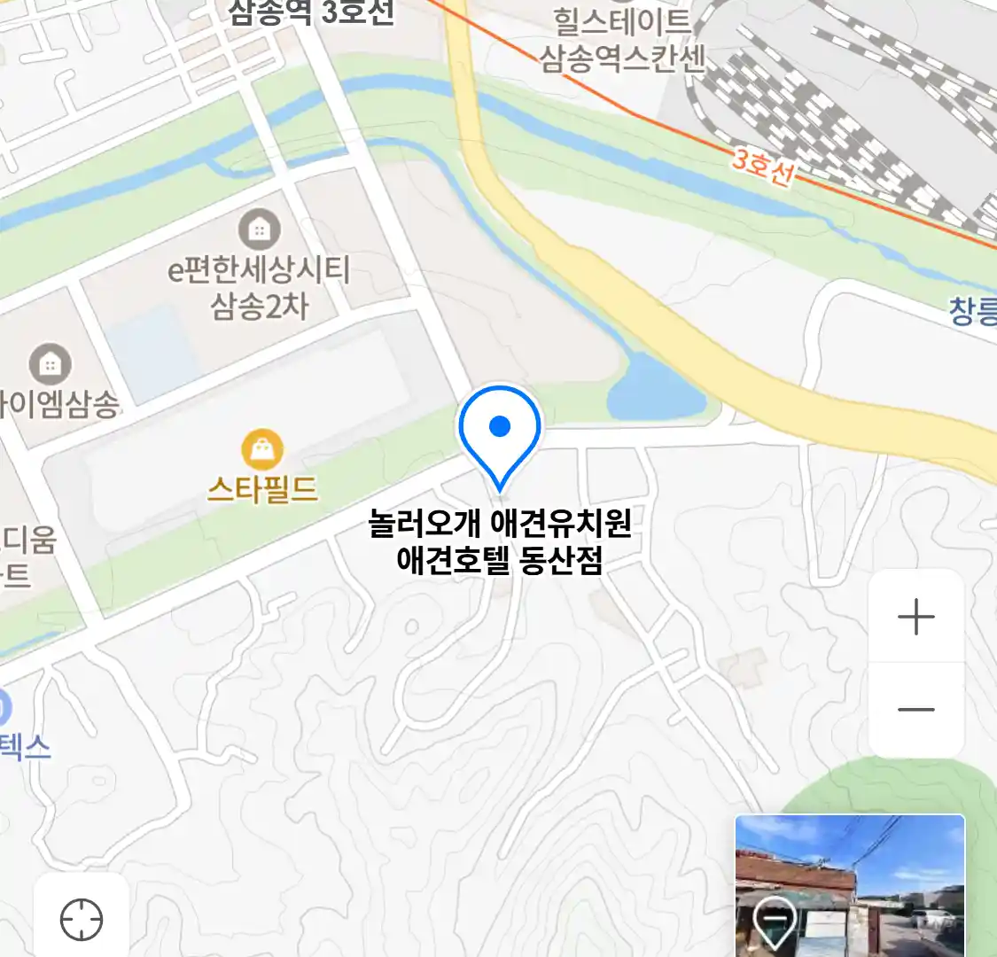 놀러오개 애견유치원 애견호텔 동산점