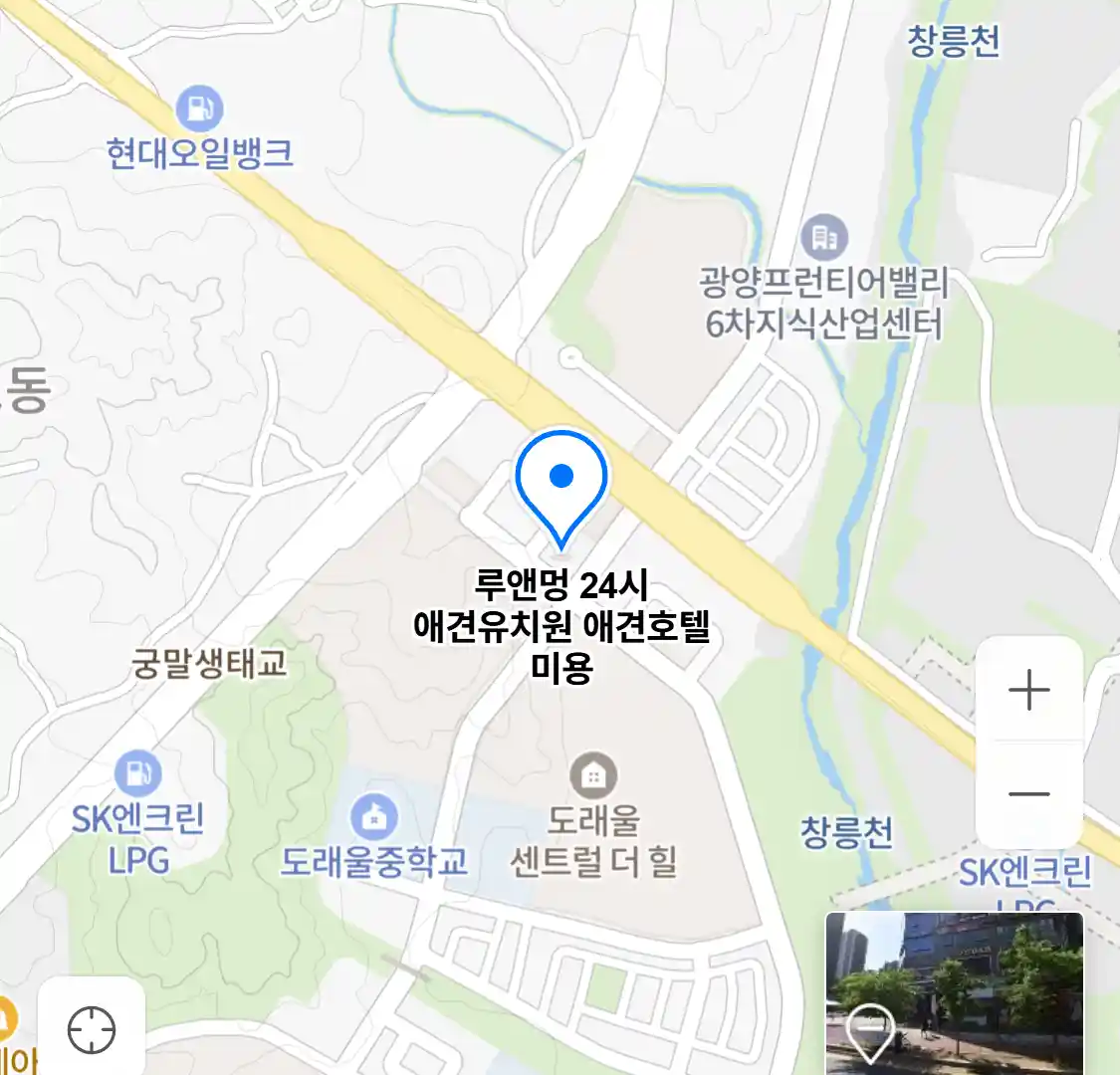 루앤멍 24시 애견유치원 애견호텔 미용