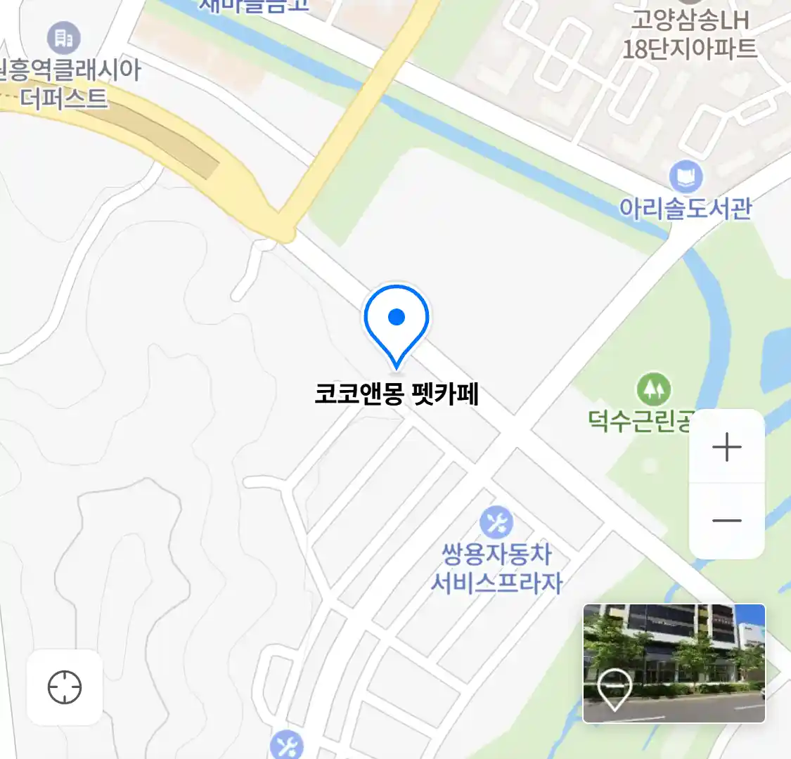 코코앤몽 펫카페