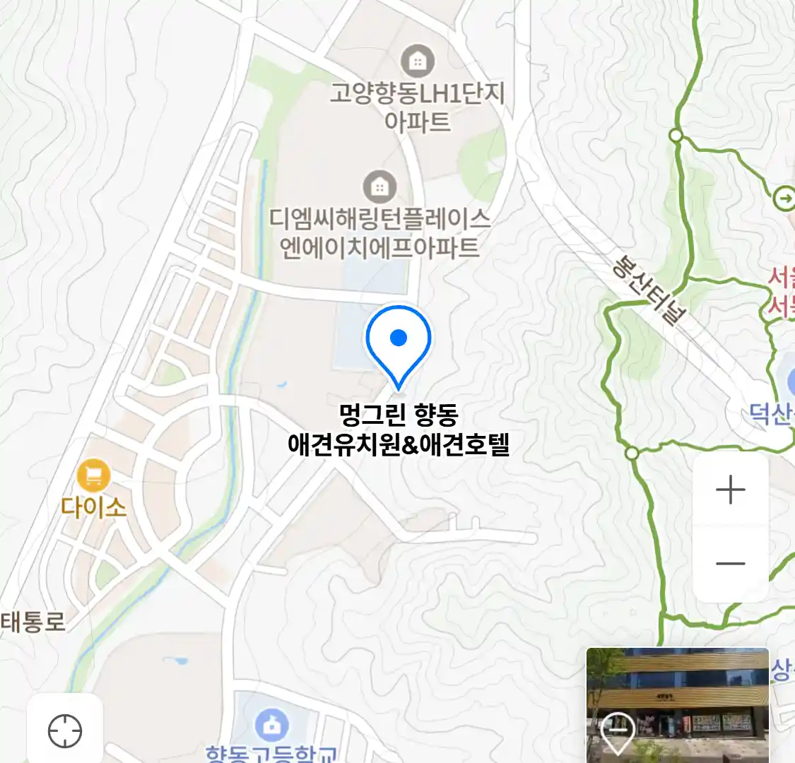 멍그린 향동 애견유치원&애견호텔