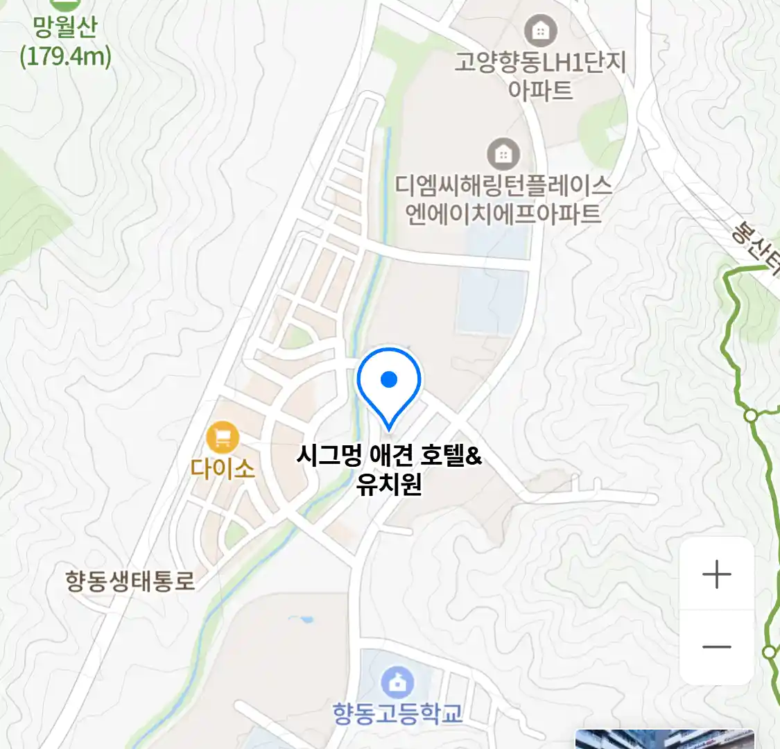 시그멍 애견 호텔&유치원