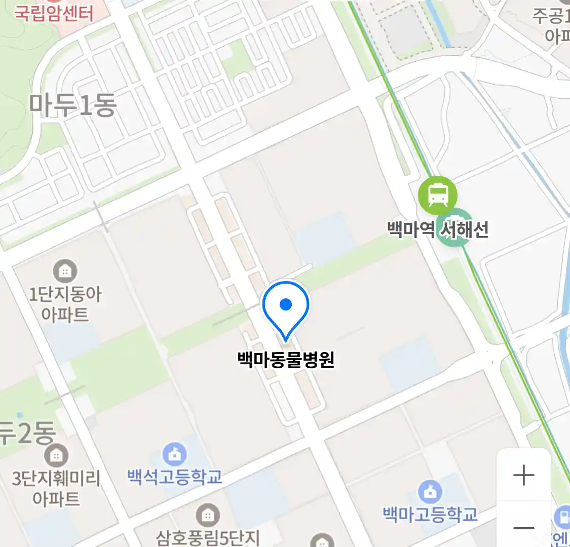 백마동물병원
