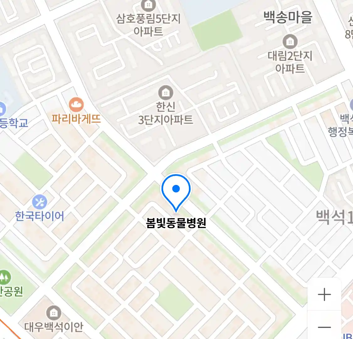 봄빛동물병원