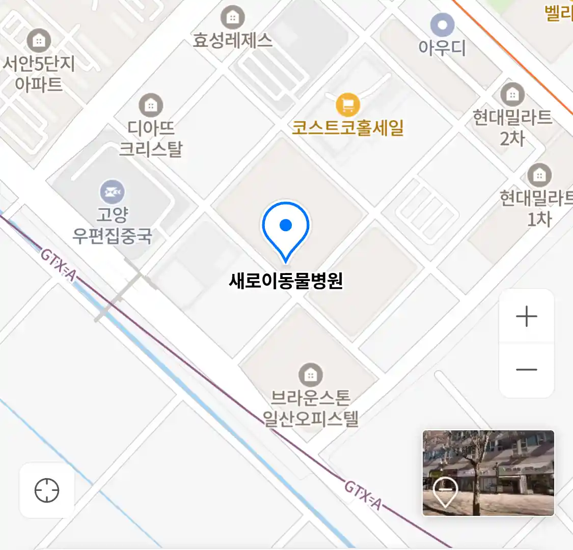 새로이동물병원