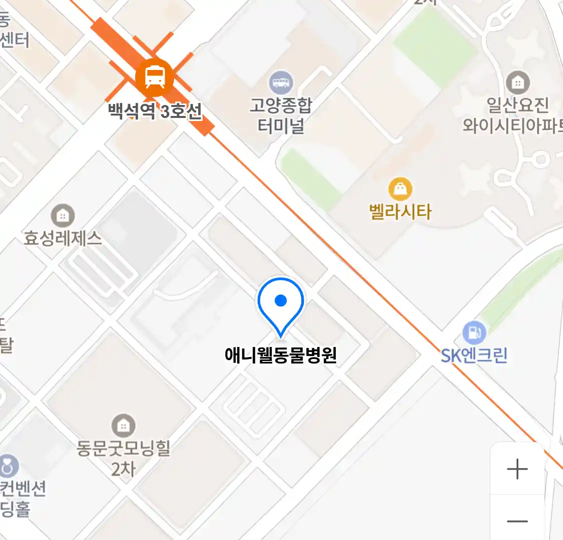 애니웰동물병원