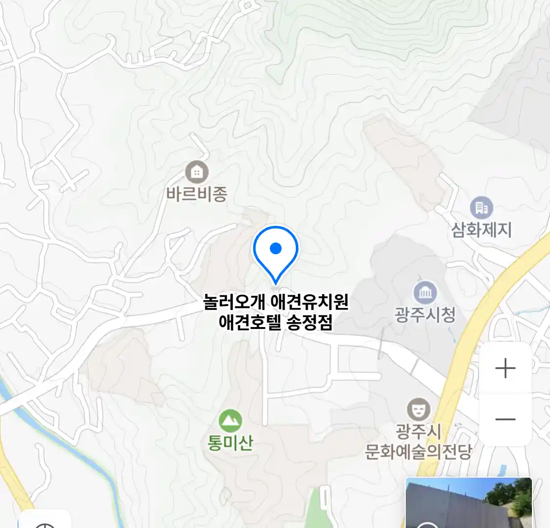 놀러오개 애견유치원 애견호텔 송정점