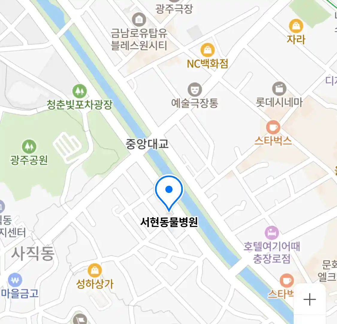 서현동물병원