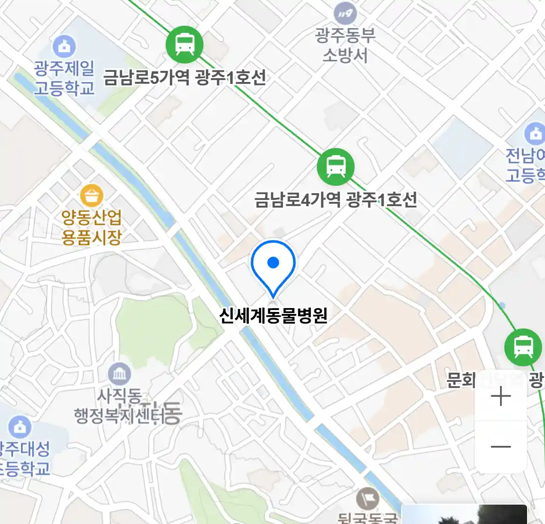 신세계동물병원