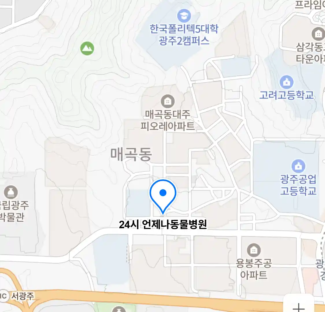 24시 언제나동물병원