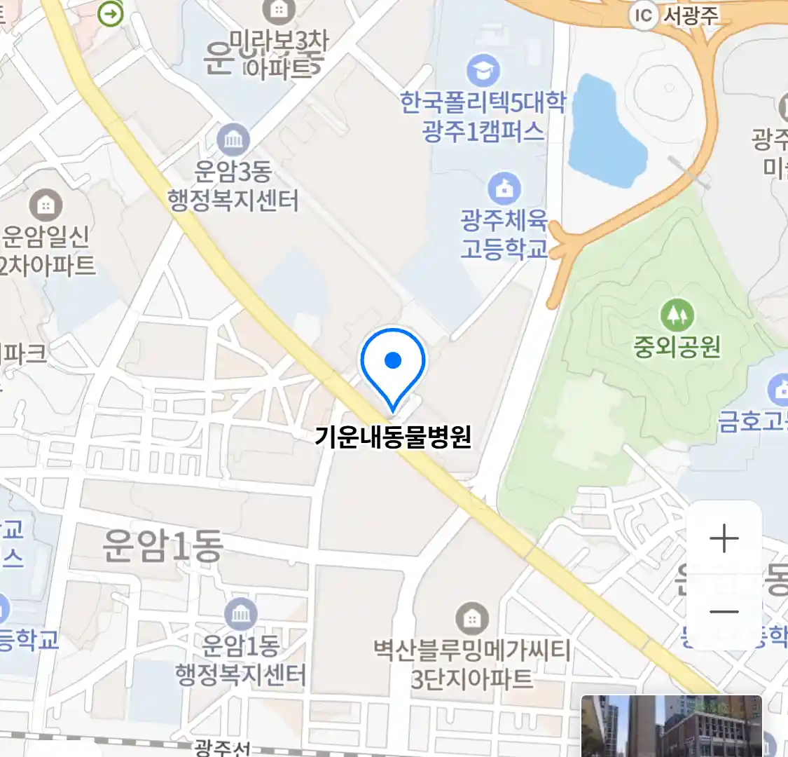 기운내동물병원