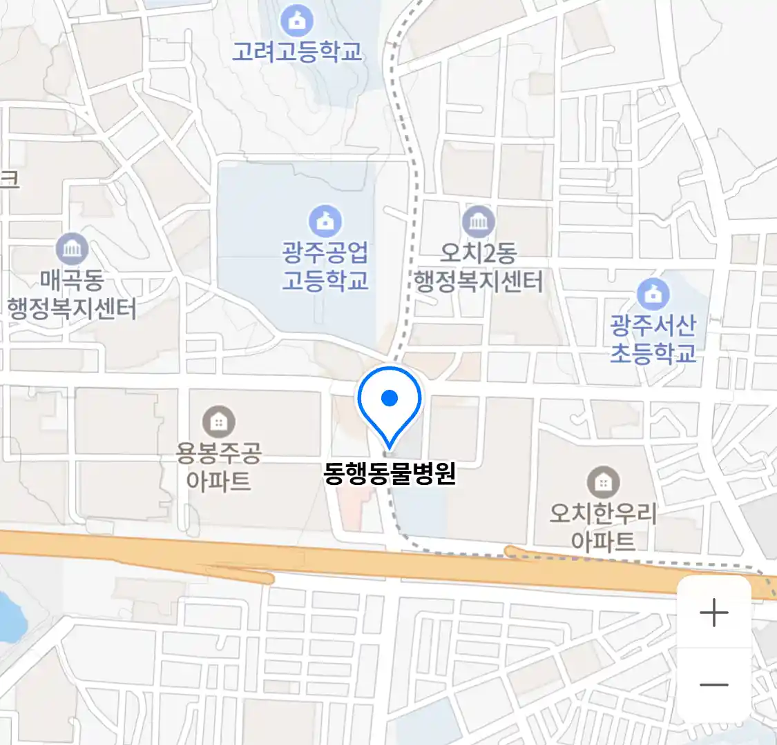 동행동물병원