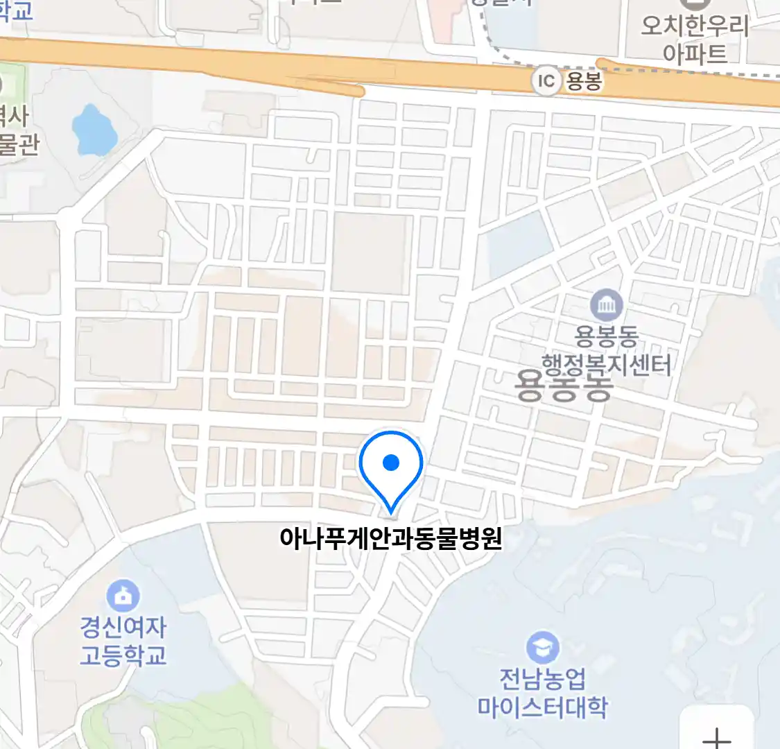 아나푸게안과동물병원