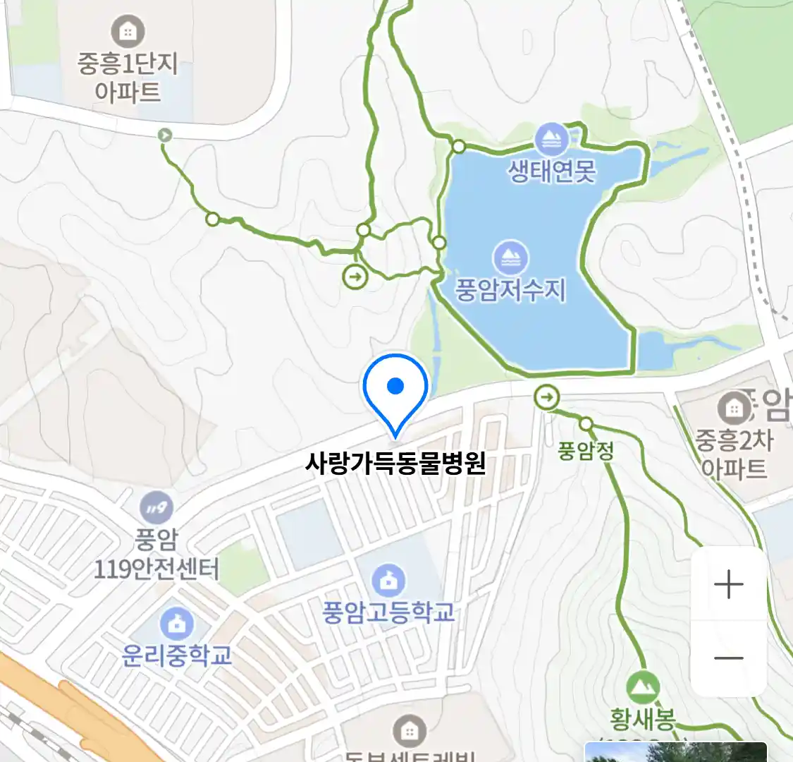 사랑가득동물병원