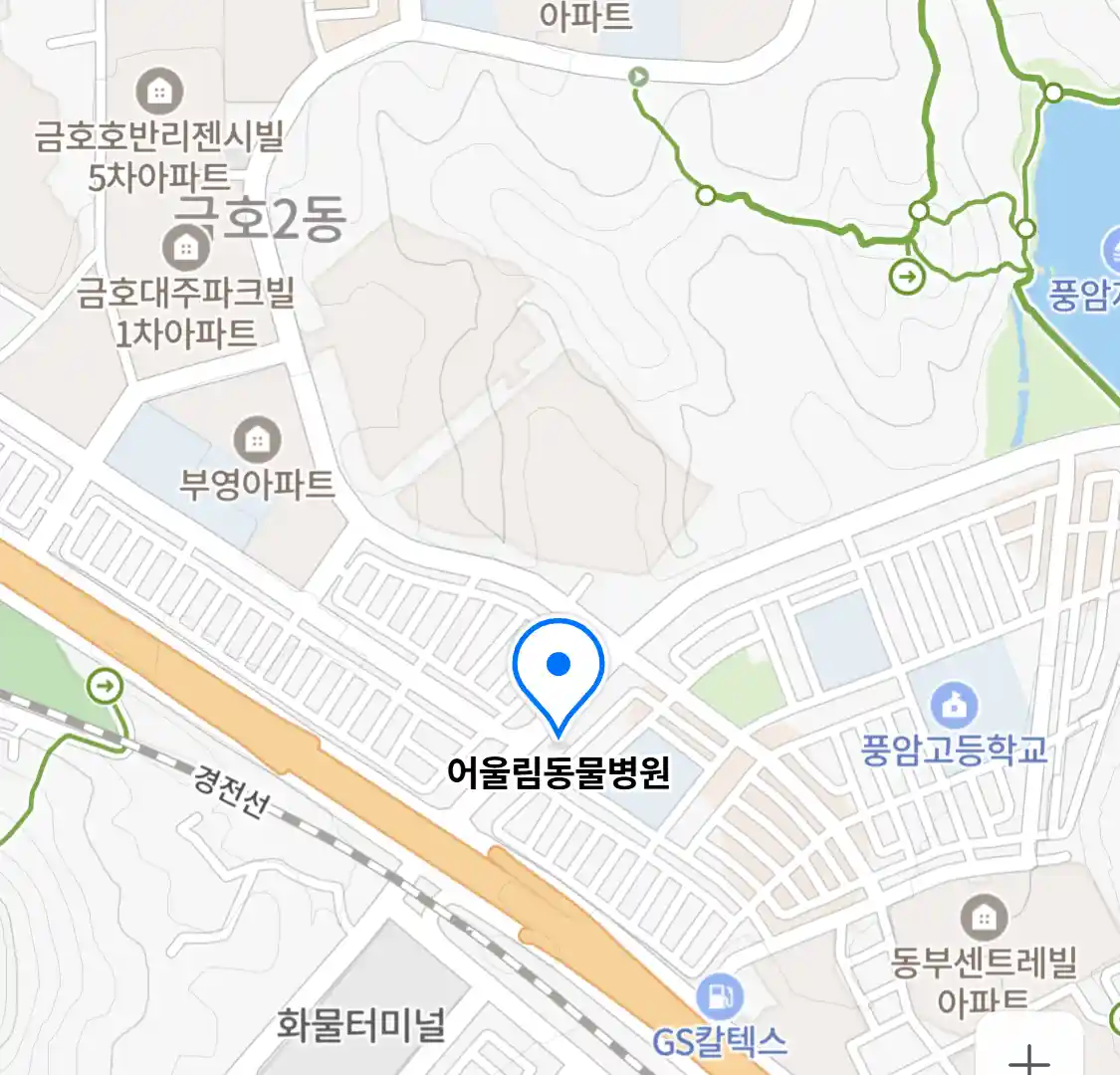 어울림동물병원