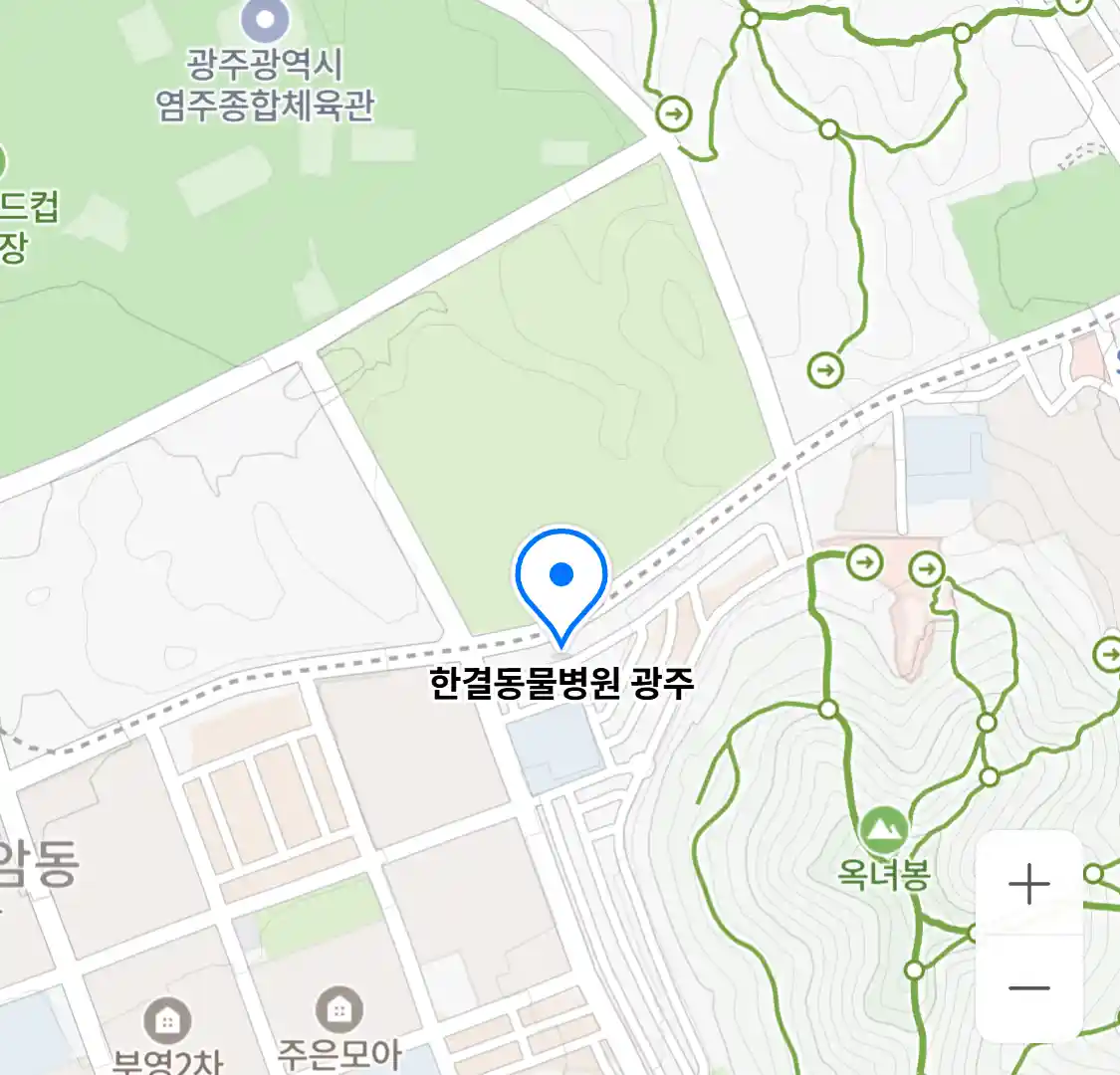 한결동물병원 광주