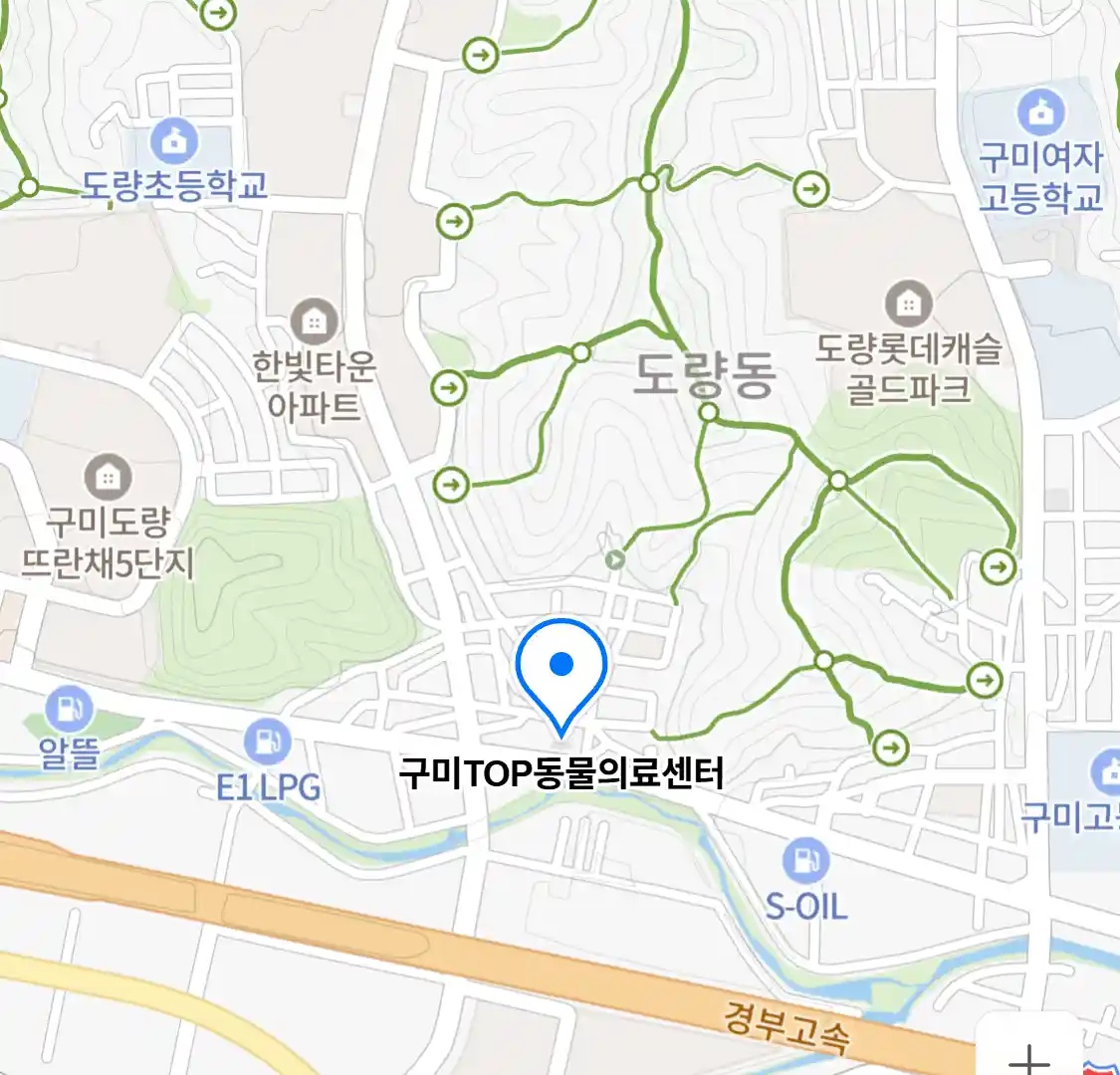 구미TOP동물의료센터