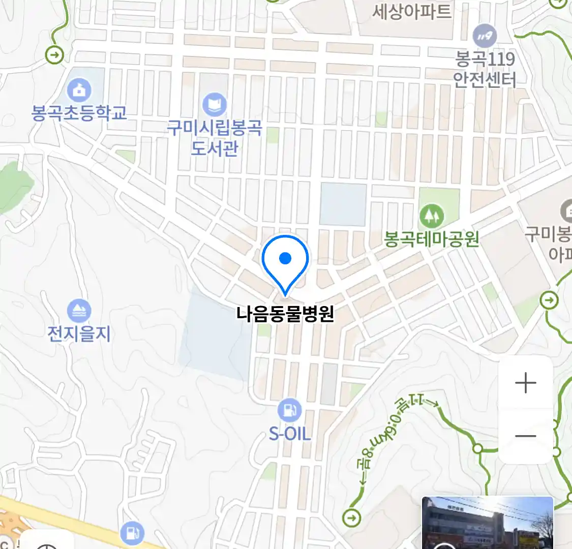 나음동물병원