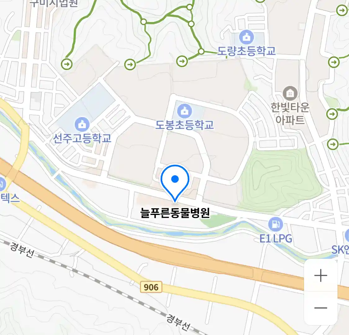 늘푸른동물병원